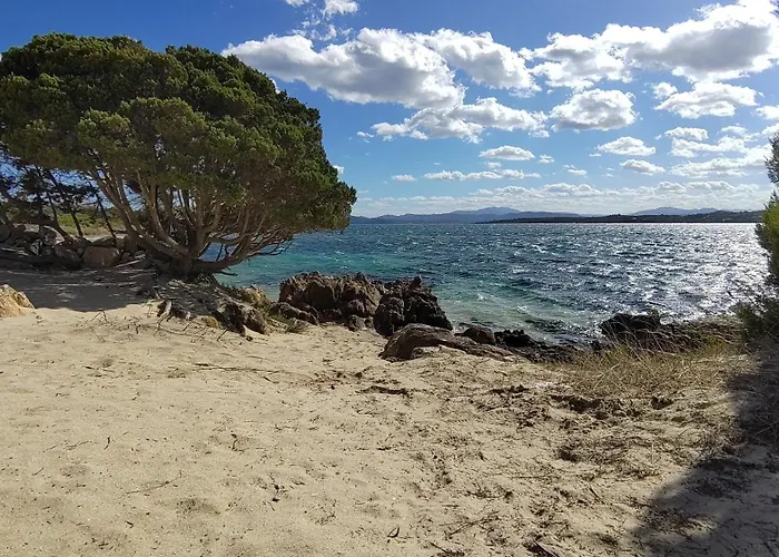 Lo Squalo Holiday home